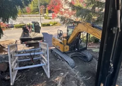 Excavation & Land Management (2)