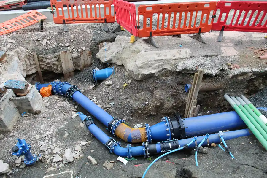 How Tree Roots Can Lead To Sewer Line Repair Needs in Everett, WA
