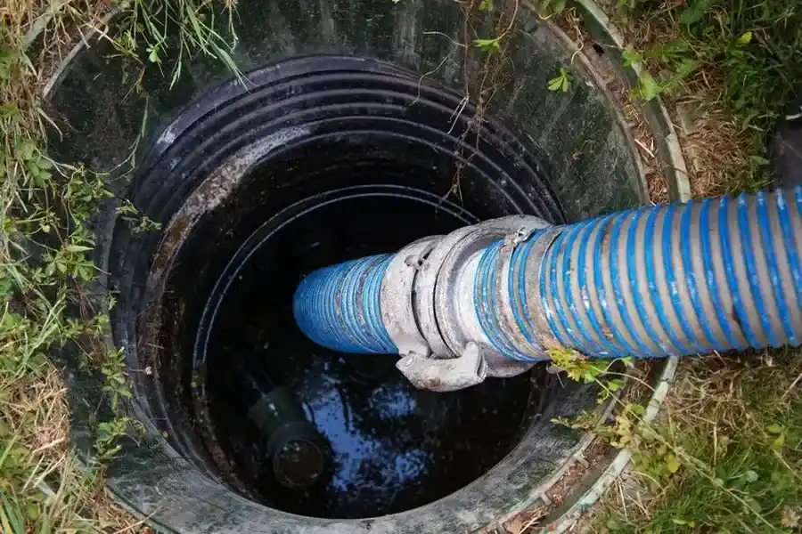 Signs That Indicate Your Drains Need Professional Cleaning in Everett, WA